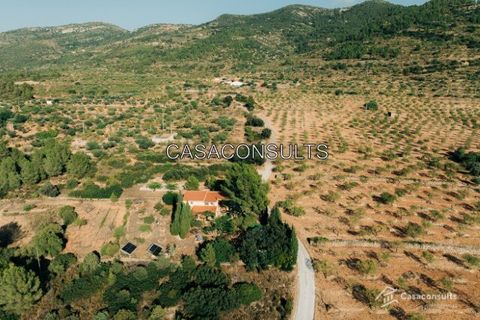 Landejendom i Sierra Engarceran, Castellon, Sierra Engarceran - € 300.000 | Ref: 903 - foto 44